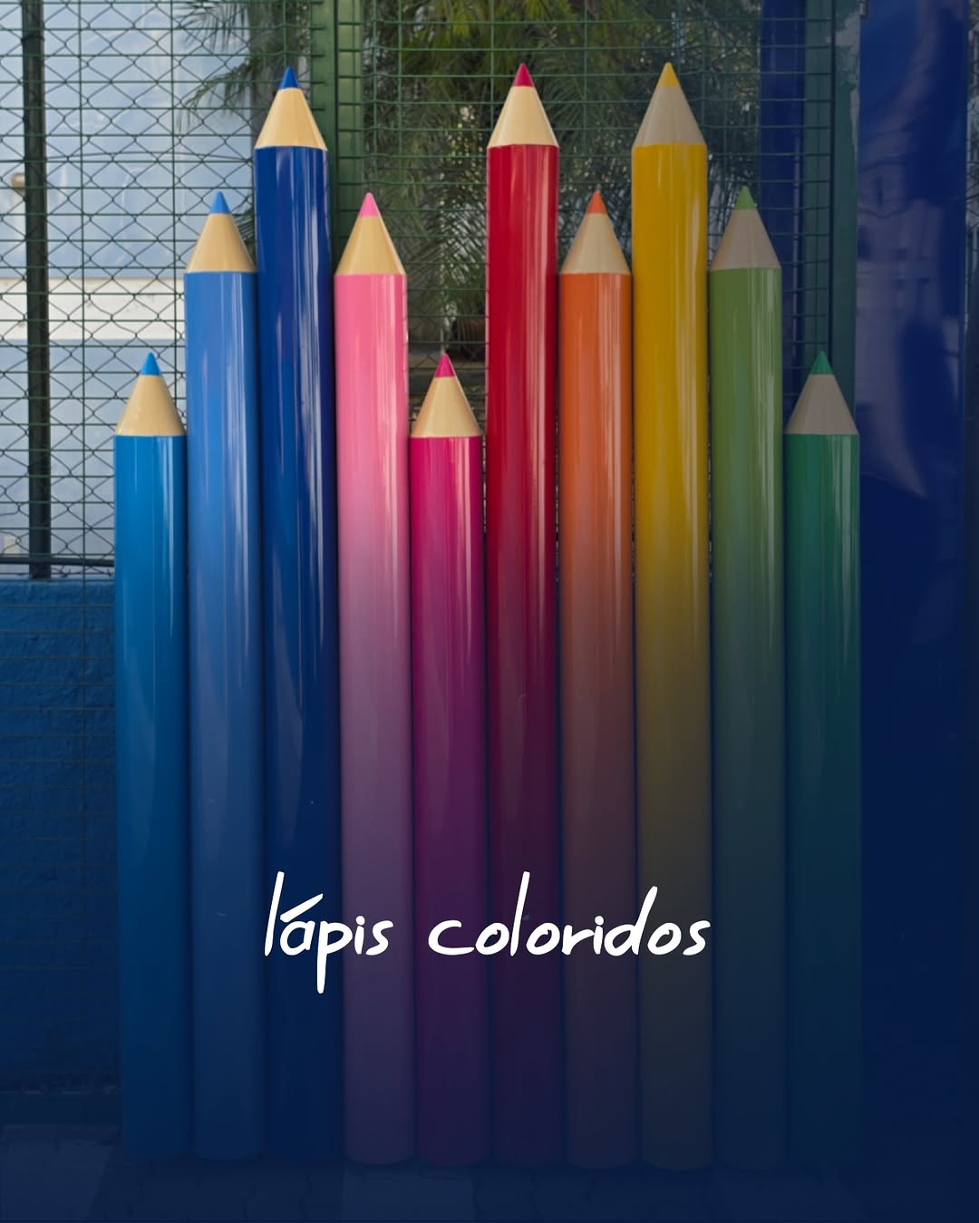 Imagem do Portfólio